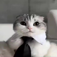 MINIK